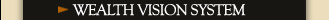 Wealth Vision System
